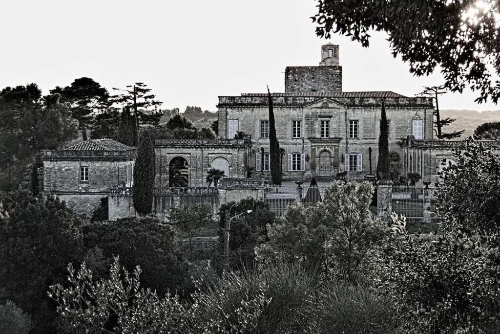 Studio Entre Cevennes Et Camargue Montfrin ภายนอก รูปภาพ